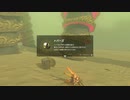 神獣を回転バグで回したかった