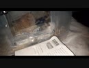 ハムスター飼いました。その103～みっきーくんと２年２ヵ月７日間～