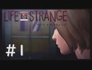 【実況】人生の主人公は