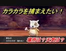 ポケモン剣盾　カラカラを捕まえる方法！オススメの場所は？天気は？ポケモン図鑑コンプへの道！　【ポケモンソード・シールド】