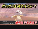 ポケモン剣盾　ガラガラを捕まえる方法！オススメの場所は？天気は？ポケモン図鑑コンプへの道！　【ポケモンソード・シールド】