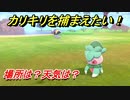ポケモン剣盾　カリキリを捕まえる方法！オススメの場所は？天気は？ポケモン図鑑コンプへの道！　【ポケモンソード・シールド】