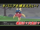 ポケモン剣盾　キバニアを捕まえる方法！オススメの場所は？天気は？ポケモン図鑑コンプへの道！　【ポケモンソード・シールド】