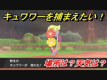 ポケモン剣盾 キュワワーを捕まえる方法 オススメの場所は 天気は ポケモン図鑑コンプへの道 ポケモンソード シールド Nicozon