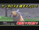 ポケモン剣盾　ケンタロスを捕まえる方法！オススメの場所は？天気は？ポケモン図鑑コンプへの道！　【ポケモンソード・シールド】