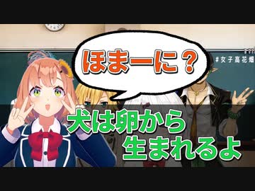 本間ひまわりがギリギリ信じそうな嘘