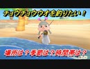 あつまれどうぶつの森　チョウチョウウオを釣る方法！場所は？季節は？時間帯は？　魚図鑑コンプへの道！釣り攻略。　【あつ森】
