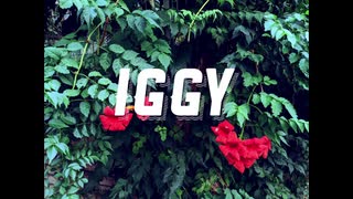 【重音テト】IGGY【オリジナル】