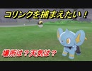 ポケモン剣盾　コリンクを捕まえる方法！オススメの場所は？天気は？ポケモン図鑑コンプへの道！　【ポケモンソード・シールド】