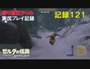 【寄り道ばかりの】ゼルダの伝説BotW【実況プレイ記録121】へブラ山脈探索