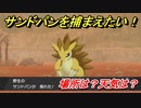 ポケモン剣盾　サンドパンを捕まえる方法！オススメの場所は？天気は？ポケモン図鑑コンプへの道！　【ポケモンソード・シールド】