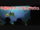 【外せるの？】甲羅を外そうとするクラッシュ【タートルトーク】東京ディズニーシー