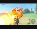 仕事辞めたので勇者になる_#12【ゼルダの伝説BotW】