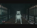 【DBD】奇怪世界・宇都宮シングス.mp69