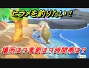 あつまれどうぶつの森　ヒラメを釣る方法！場所は？季節は？時間帯は？　魚図鑑コンプへの道！釣り攻略。　【あつ森】