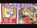 【両方使ってます】レオパにお勧めなのは人工餌とデュビアどっちなのか？