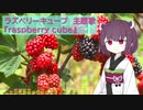 raspberry cube