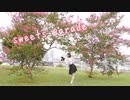 【響空】sweets parade 踊ってみた【あいうえお菓子下♪】