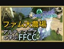 大地の恵みを受けた農村。ファム大農場をじっくり解説とエリア攻略【解説】FFCCの世界観・ストーリーを解説　＃11