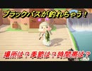 あつまれどうぶつの森　ブラックバスを釣る方法！場所は？季節は？時間帯は？　魚図鑑コンプへの道！釣り攻略。　【あつ森】