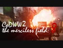 CoDWWⅡ the merciless field: 8