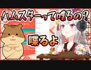 ハムスターの話をしたいのにすぐ脱線しちゃうお嬢がかわ余【百鬼あやめ】