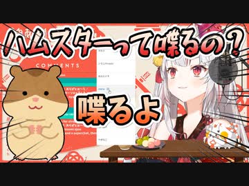 ハムスターの話をしたいのにすぐ脱線しちゃうお嬢がかわ余【百鬼あやめ】
