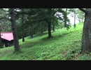 岩手の無料キャンプ紹介！姫神山一本杉園地キャンプ場！Free camp introduction in Iwate!  Himegamiyama Ipponsugi Garden Campsite!