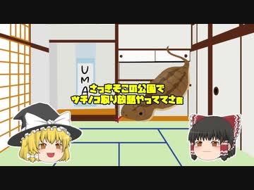 ゆっくり茶番 霊夢と魔理沙ともんちゃんと Nicozon