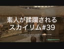 【素人が蹂躙されるスカイリム】実況プレイ_part39