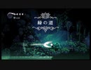 【実況】 こんにちは、小さな大きな世界 【Hollow Knight】 part 5