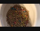 M&M'sとシリアルをトイレに流してみた２