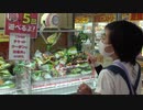 【ゲームセンター】100円で5回のクレーンゲームに挑戦するあい❤狙ったお菓子をGET出来て大喜びwww