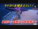 あつまれどうぶつの森　ヤドカリを捕る方法！場所は？季節は？時間帯は？　虫図鑑コンプへの道！虫捕り攻略。　【あつ森】