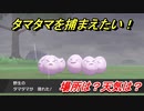 ポケモン剣盾　タマタマを捕まえる方法！オススメの場所は？天気は？ポケモン図鑑コンプへの道！　【ポケモンソード・シールド】