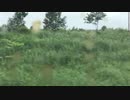 特急「すずらん」車窓　沼ノ端付近