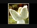 ALONES　重音テト