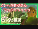 【ゼルダの伝説BotW】バクダンで大体のことは解決する大冒険 part34【実況】