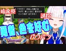 伝説の勇者となり色欲にまみれる第二皇女【ドラクエ1】