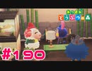 【実況】モモチの家にちゃちゃまるが来てた #190【あつまれどうぶつの森】