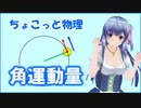 ちょこっと物理【角運動量】