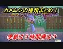 あつまれどうぶつの森　カメムシの種類まとめ！場所は？季節は？時間帯は？　虫図鑑コンプへの道！虫捕り攻略。　【あつ森】
