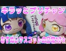 キラッとプリチャン～おすぬいマスコットの日常17★～