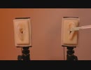 (音フェチ) パリパリのシリコン耳に耳かきしてみた (Notalking ASMR)