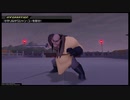 キングダムハーツ2/KINGDOM HEARTS2/KH2FM シャン・ユー戦[Critical/LV1]