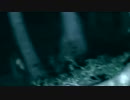 【衝撃映像】FILE-007 裏山道探検中にビデオカメラへ映った何か