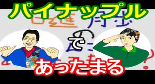 【ラジオ】日進月歩ののどちんこあったまってますか？～料理のパイナップルって～