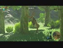 【実況】だらだら喋りながらやるゼルダの伝説 BREATH OF THE WILD Part.014【初見】