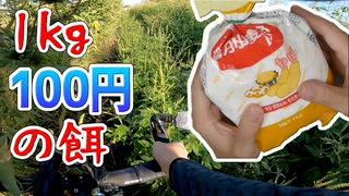 【自転車・釣り】金がない！小麦粉だけで魚は釣れるのか？