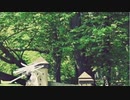 雨晴るる【Cover】/ Vll
